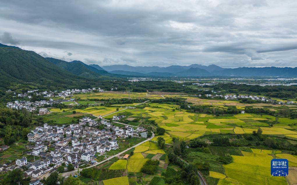 手机摇钱树1000炮打法